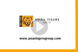 economic removals companies in ho chi minh Asian Tigers (International Moving and Relocation) - Vietnam (Ho Chi Minh City)